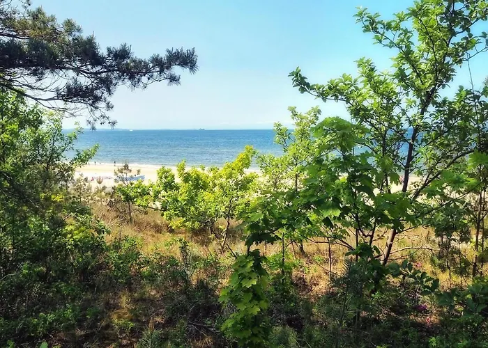 In Mrze Yno By Blue Flag *